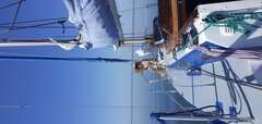 20200808_102428.jpg