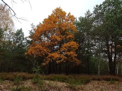 20211024_112824.jpg