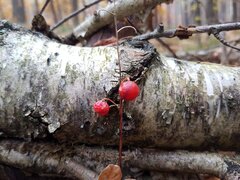20211024_084032.jpg