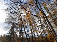 20211107_134841.jpg