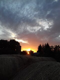 20190710_211734.jpg