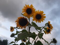20210925_182827.jpg