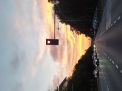 IMG_20210730_203448.jpg