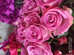 IMG_20210922_132928.jpg