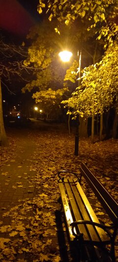 20211111_222800.jpg