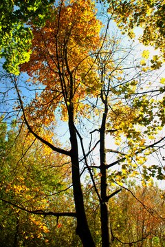 DSC_1660a.jpg