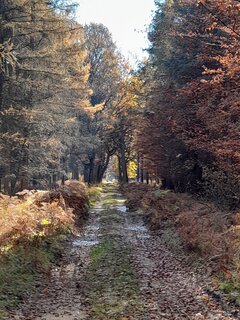20211101_111556.jpg