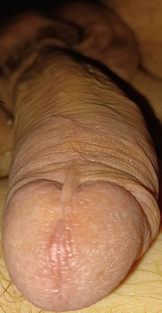 Wypychacz