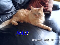 SAM_3816.JPG