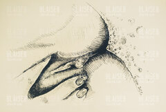 Art. No. 116
