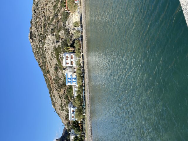 andonis