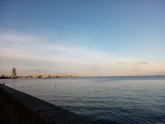IMG_20211126_142901.jpg