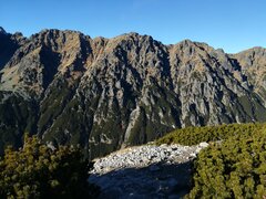 IMG_20211120_133047.jpg