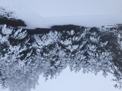 20211127_073459.jpg