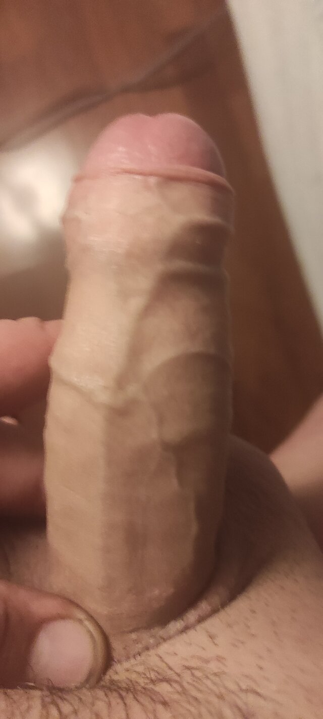 Slodki511