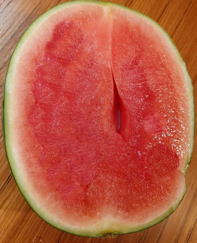 Gomisia93