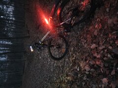 20211203_161910.jpg