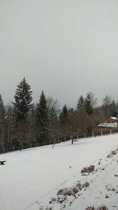 IMG_20211205_144434.jpg