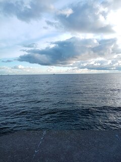 IMG_20210905_071129.jpg