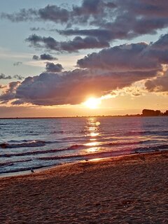 IMG_20210905_061634.jpg