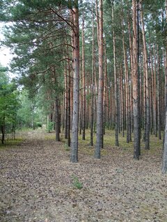 IMG_20210724_174700.jpg