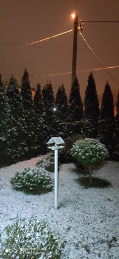 IMG_20211207_163310.jpg
