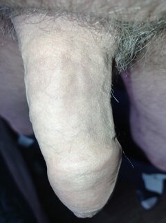 IMG_20211208_125956.jpg
