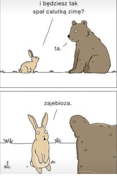 Zima