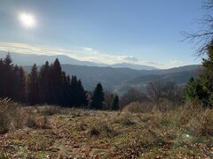 IMG_0408.JPEG