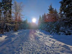 IMG_20211212_104455.jpg
