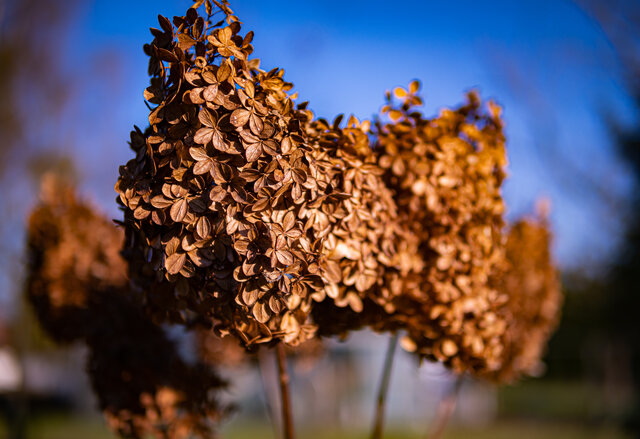 squirt_lover_waw