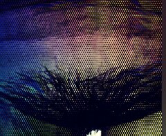 20211214_193809946.jpg