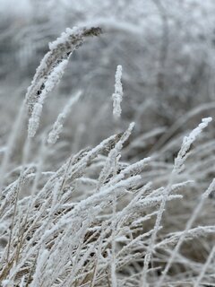 76BA877B-4C7C-489F-BF53-4BD8D738CDA3.jpeg