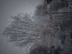20211212_155936.jpg