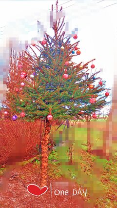 IMG_20211220_162350.jpg