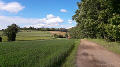 20200606_172619.jpg