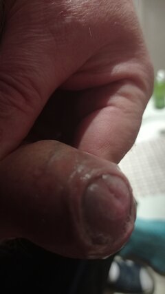 IMG_20211221_123600.jpg