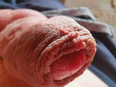 IMG_20211221_142001.jpg
