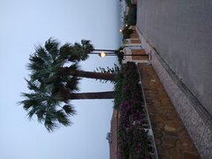 IMG_20211222_081642242.jpg