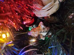 20211224_125904.jpg