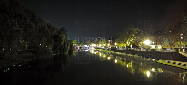 Pluszykowa1