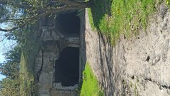 IMG_20210509_102939.jpg