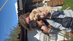 IMG_20210509_132305.jpg