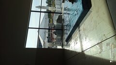 IMG_20211003_142921.jpg