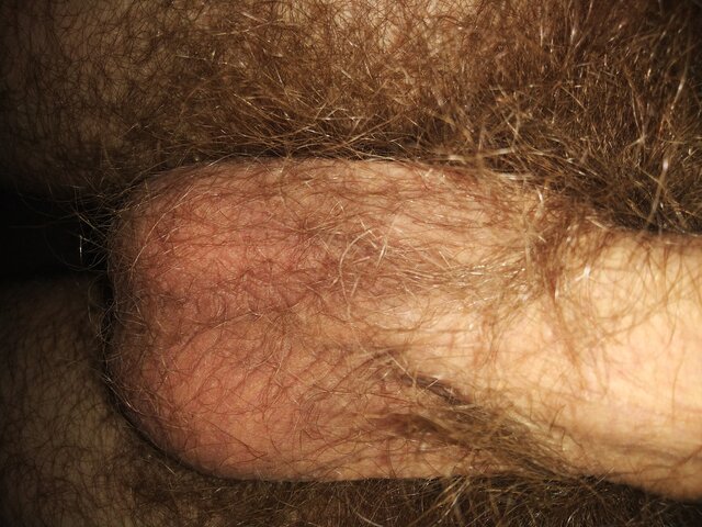 kutasperman