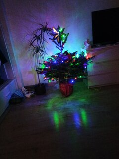 IMG_20211223_224321_01.jpg