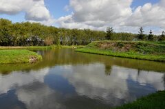 DSC_0144.JPG