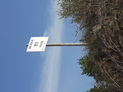 20210807_175242.jpg