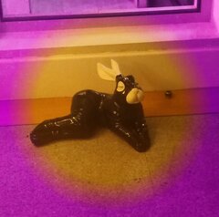 868995137_mirror2.jpg