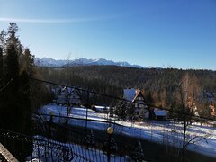 IMG_20220107_093200.jpg
